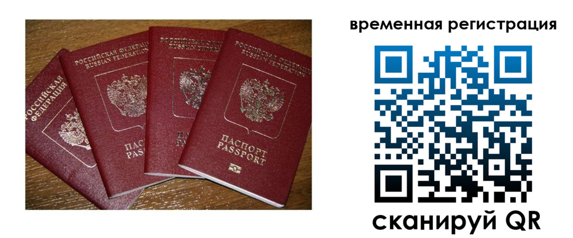 найти адрес прописки в Купино
